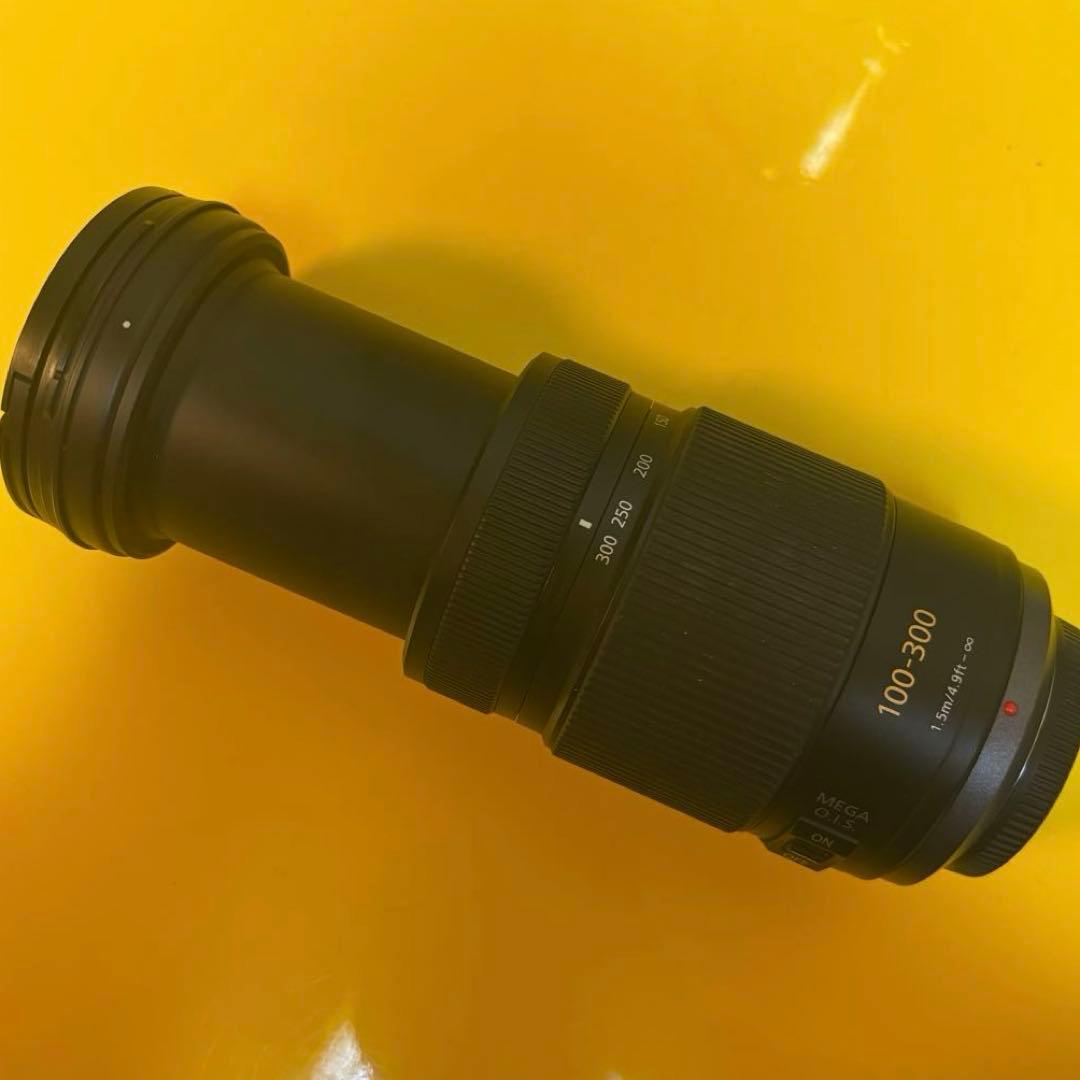 Panasonic LUMIX G VARIO 100-300mmF4-5.6Ⅱ