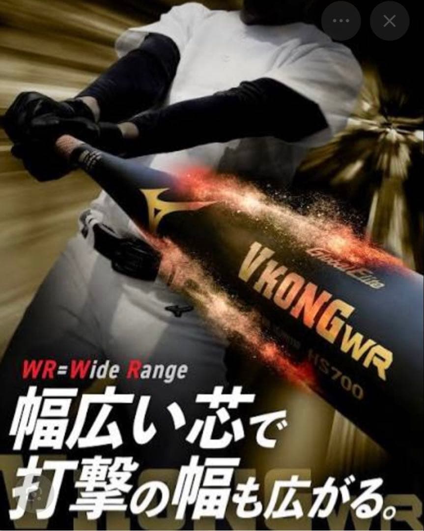Mizuno VKONG WR 新基準 硬式バット