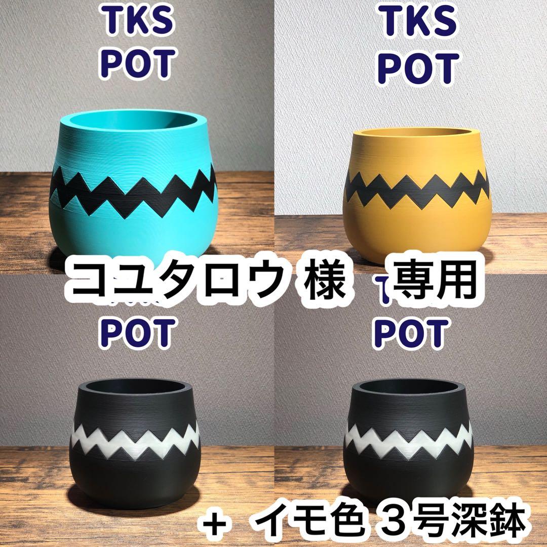 コユタロウ 　TKP POT 3号深鉢 5点セット