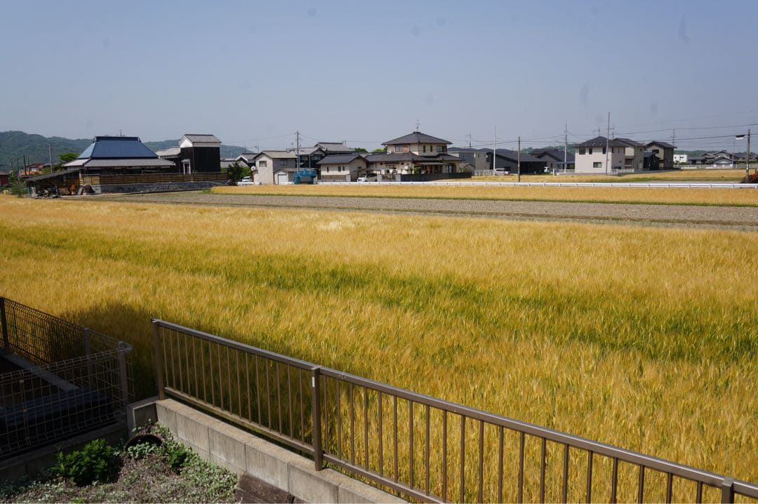 美品 SIGMA 19mm f2.8