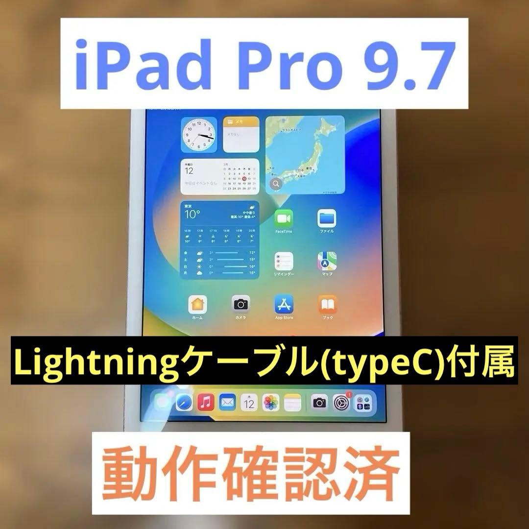 iPad Pro 9.7 32GB Lightningケーブル付属 動作確認済