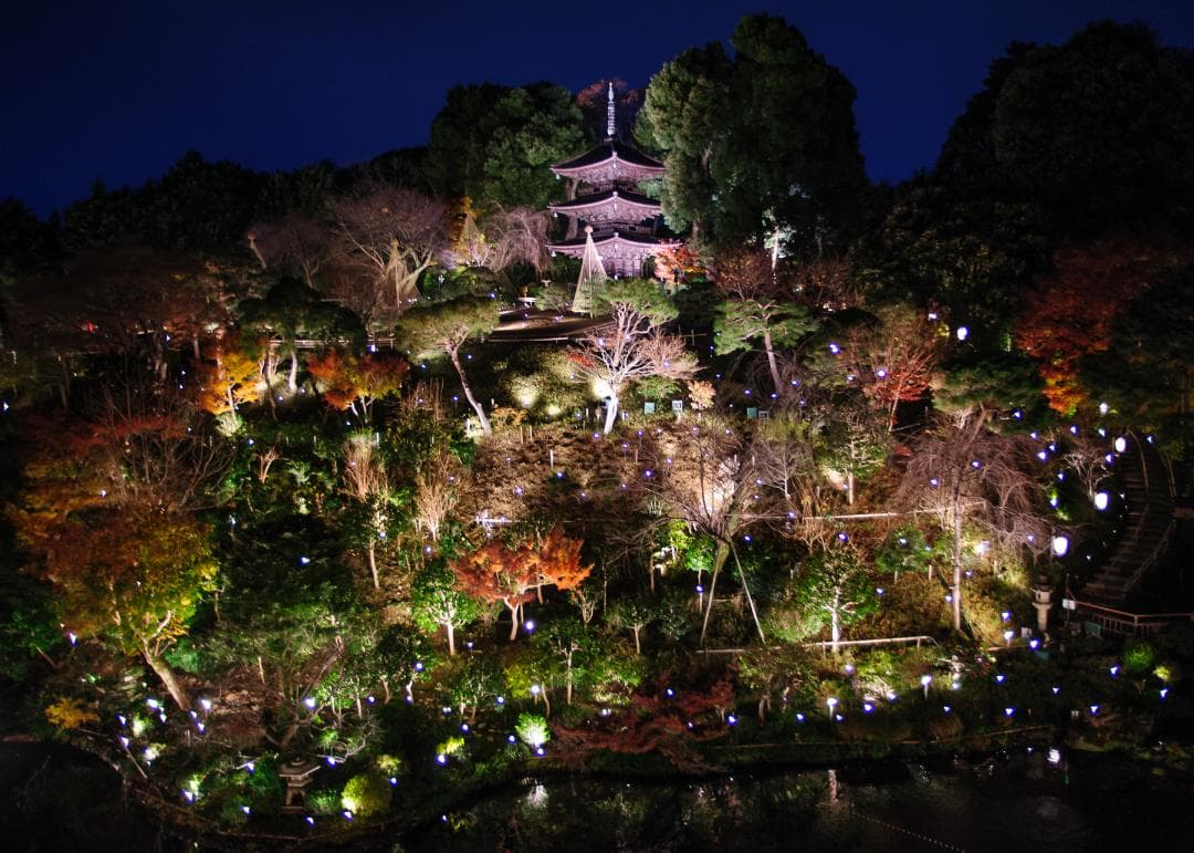 Nikon D700 – シャッター回数 25,312回