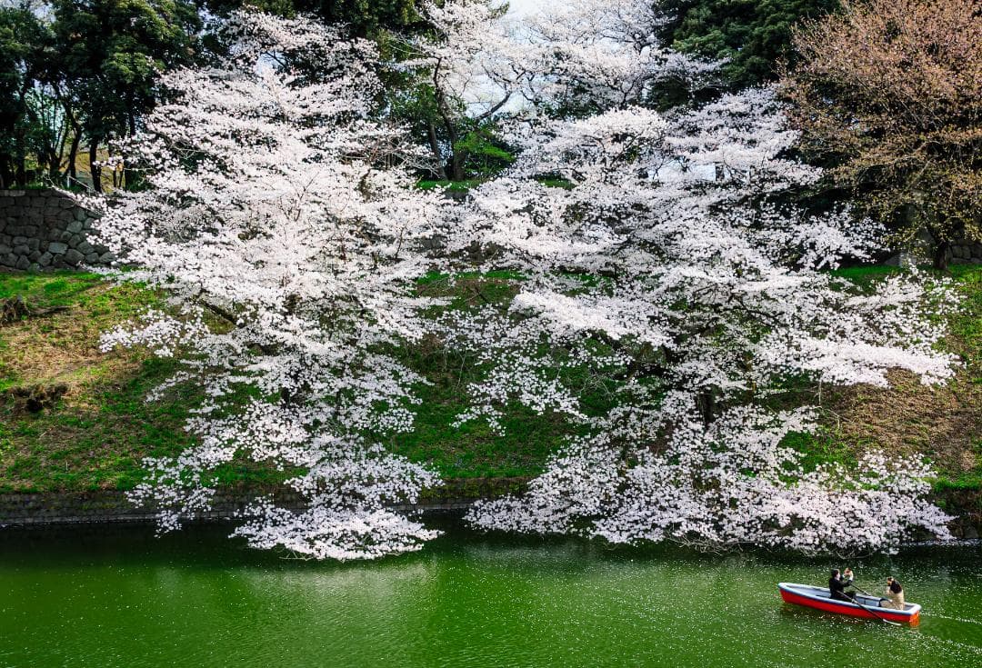 Nikon D700 – シャッター回数 25,312回