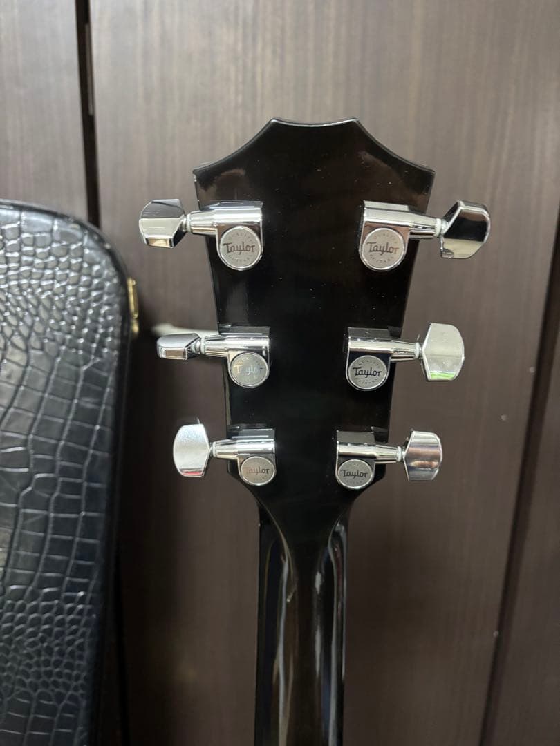 Taylor T5 エレアコ