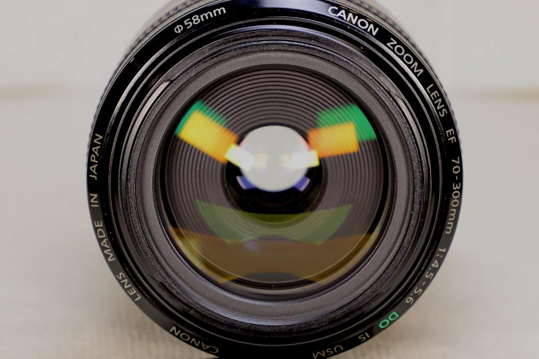 EF70-300mm F4.5-5.6 DO IS USM【高解像感・作例あり】