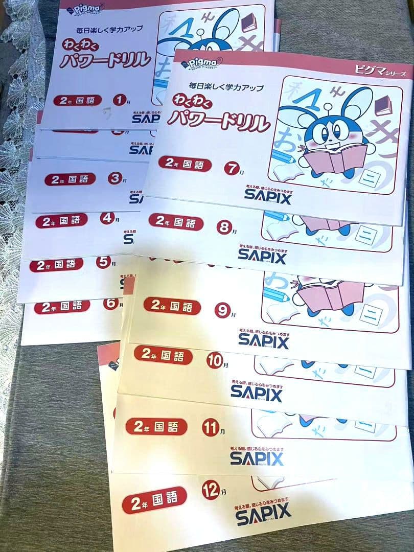 SAPIX 2年生 パワードリル ピグマ セット2023年版