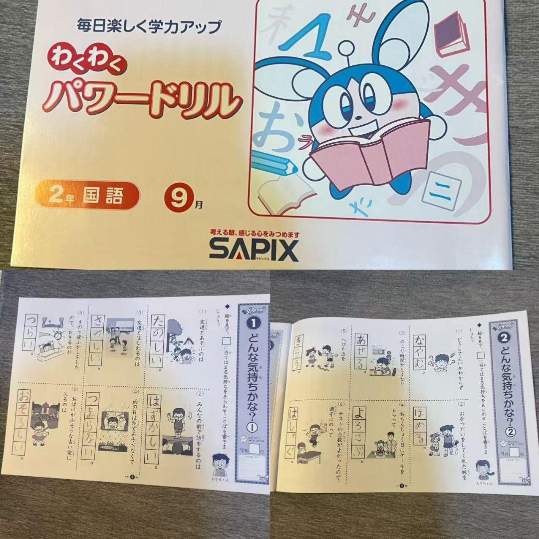 SAPIX 2年生 パワードリル ピグマ セット2023年版