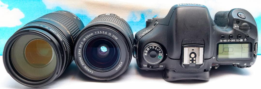 キャノン Canon EOS 7D ⭐️ダブルレンズ⭐️スマホ転送⭐️高速連射
