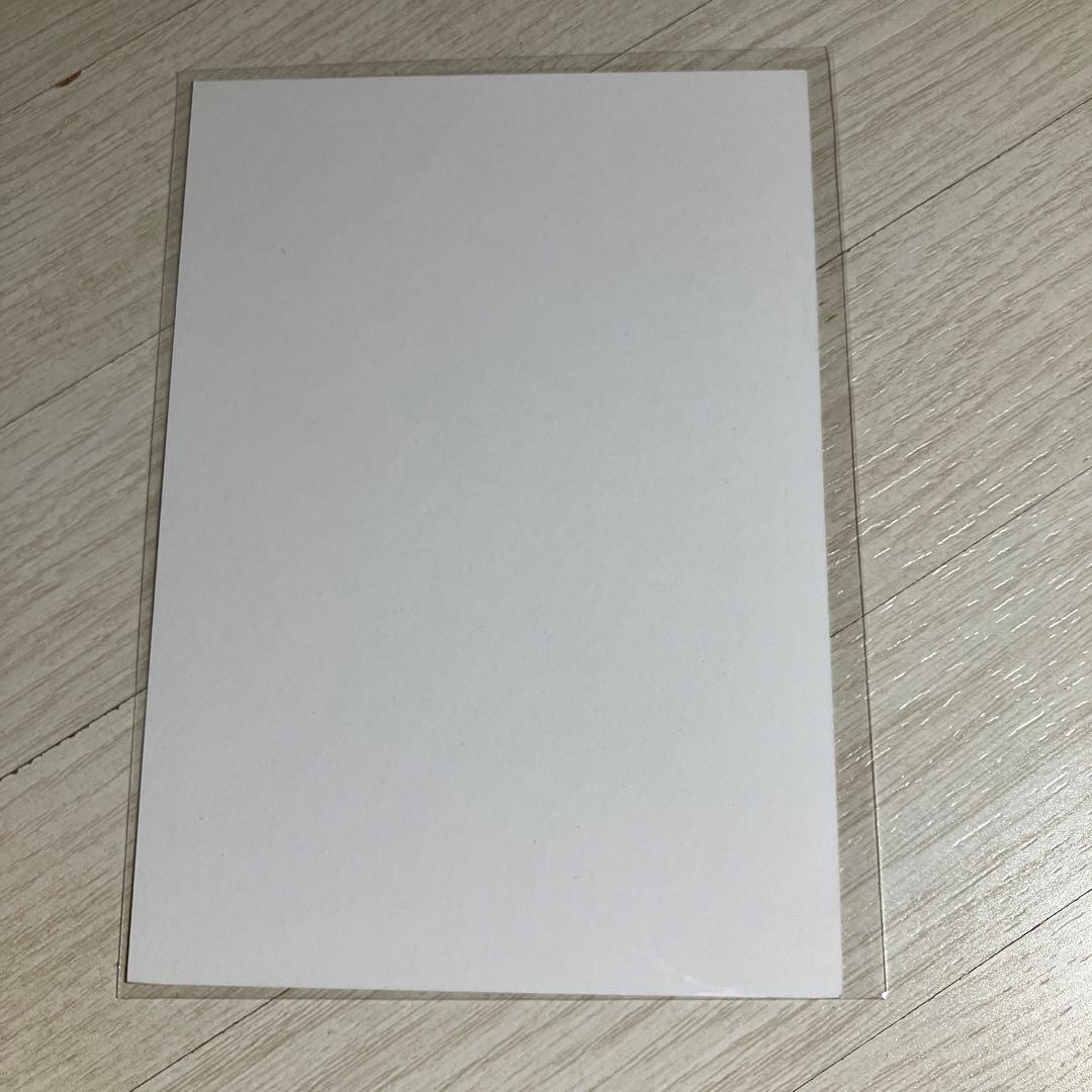 stray kids スキズ　フィリックス　IN生　インターパーク　特典　貴重