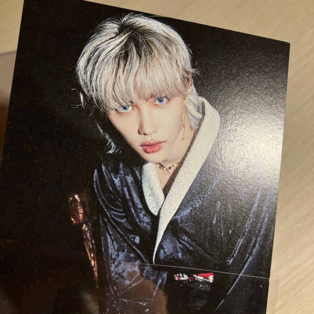 stray kids スキズ　フィリックス　IN生　インターパーク　特典　貴重