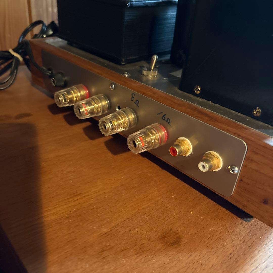 px25 モノラルシングルアンプ