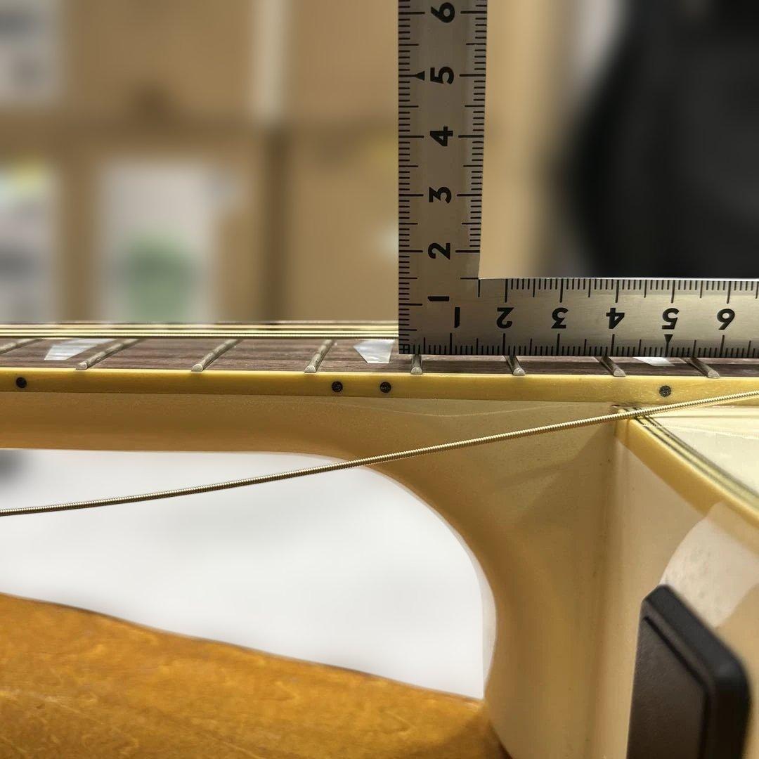 6828 APX1000(PW) ヤマハ エレアコ パールホワイト ソフトケース