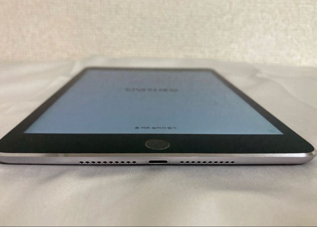 iPad mini 4 スペースグレイ