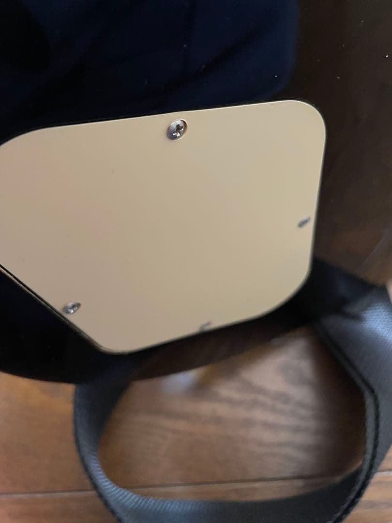 Epiphone Les Paul 100 美品　入門おすすめ