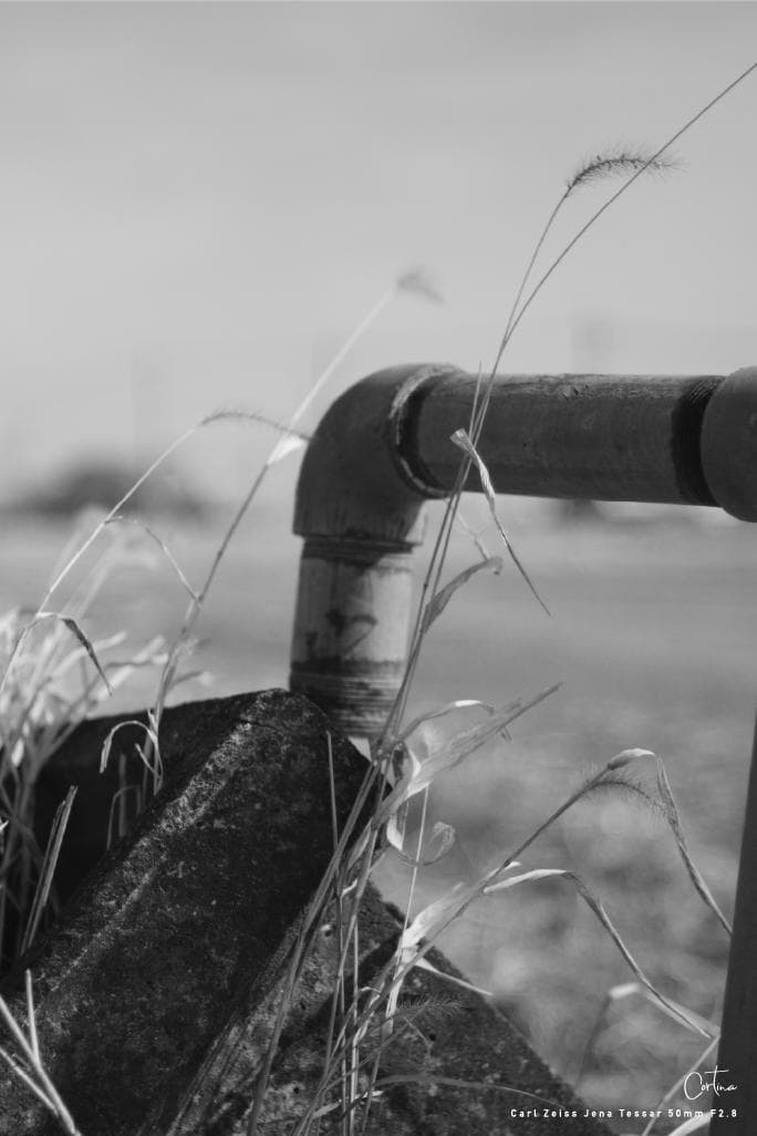 Carl Zeiss Jena Tessar 50mm F2.8 M42マウント