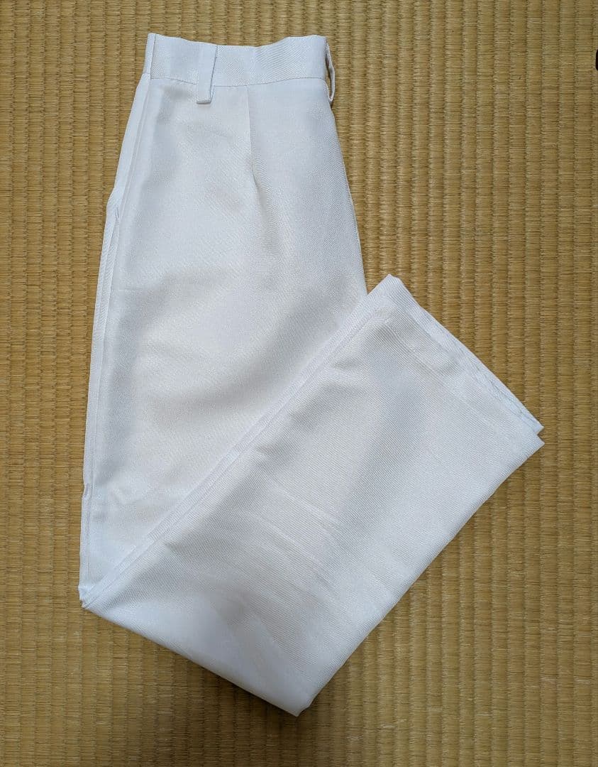 魔法使いの約束　シノ　コスプレ衣装