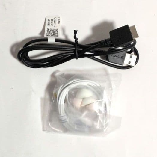 SONYウォークマンNW-S313 4GBブルー2025年10月ヨドバシCで購入