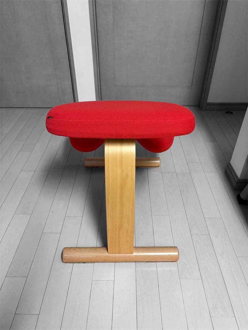 【正規品】美品バランスチェア　イージー(カバー付き)