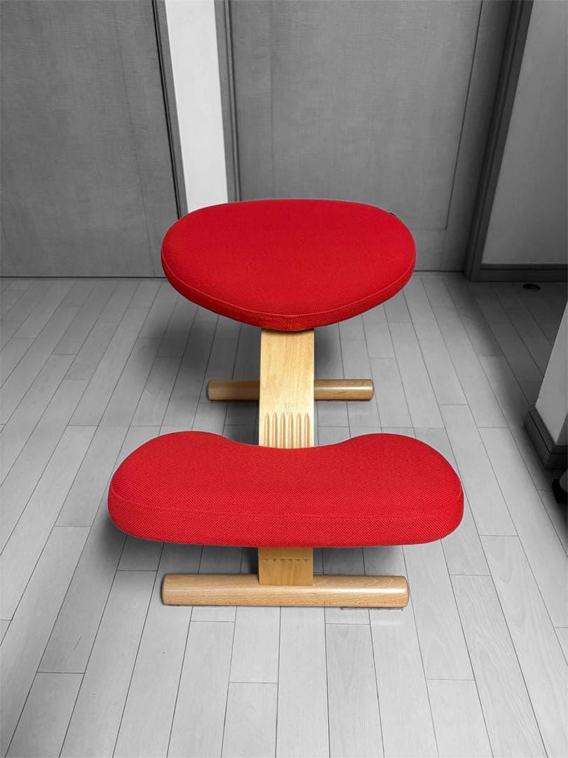 【正規品】美品バランスチェア　イージー(カバー付き)