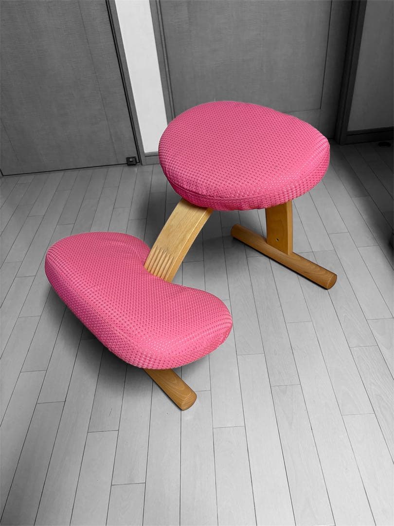 【正規品】美品バランスチェア　イージー(カバー付き)