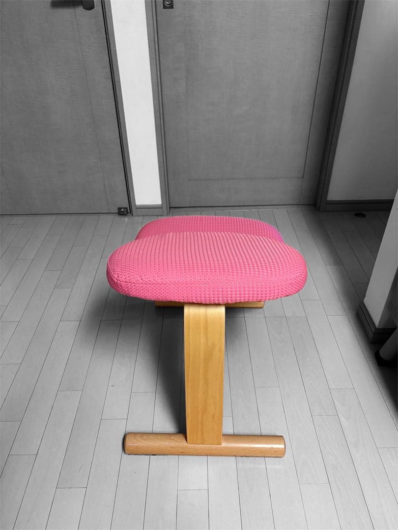 【正規品】美品バランスチェア　イージー(カバー付き)