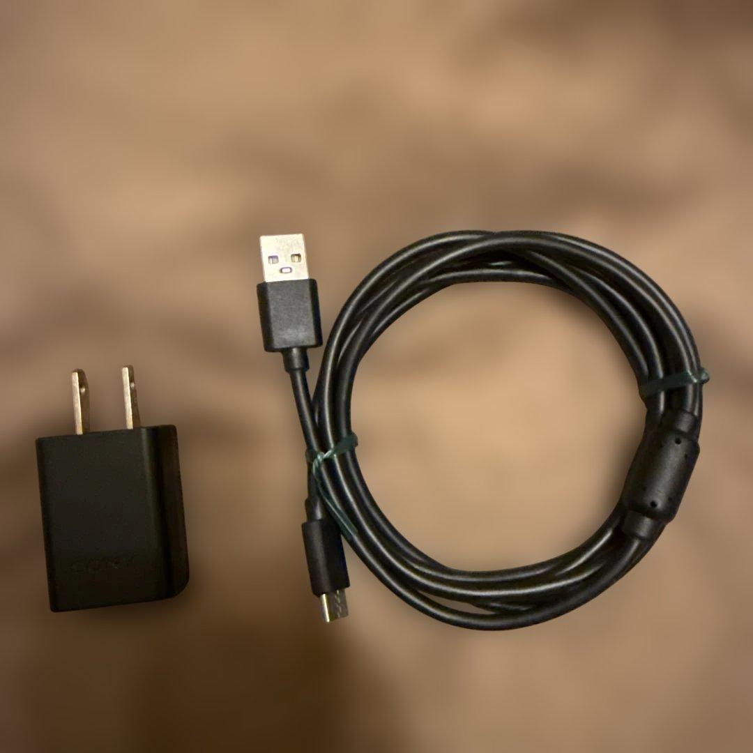 SONY ZV-E10 4K ミラーレスカメラ 本体+標準レンズ+リモコン