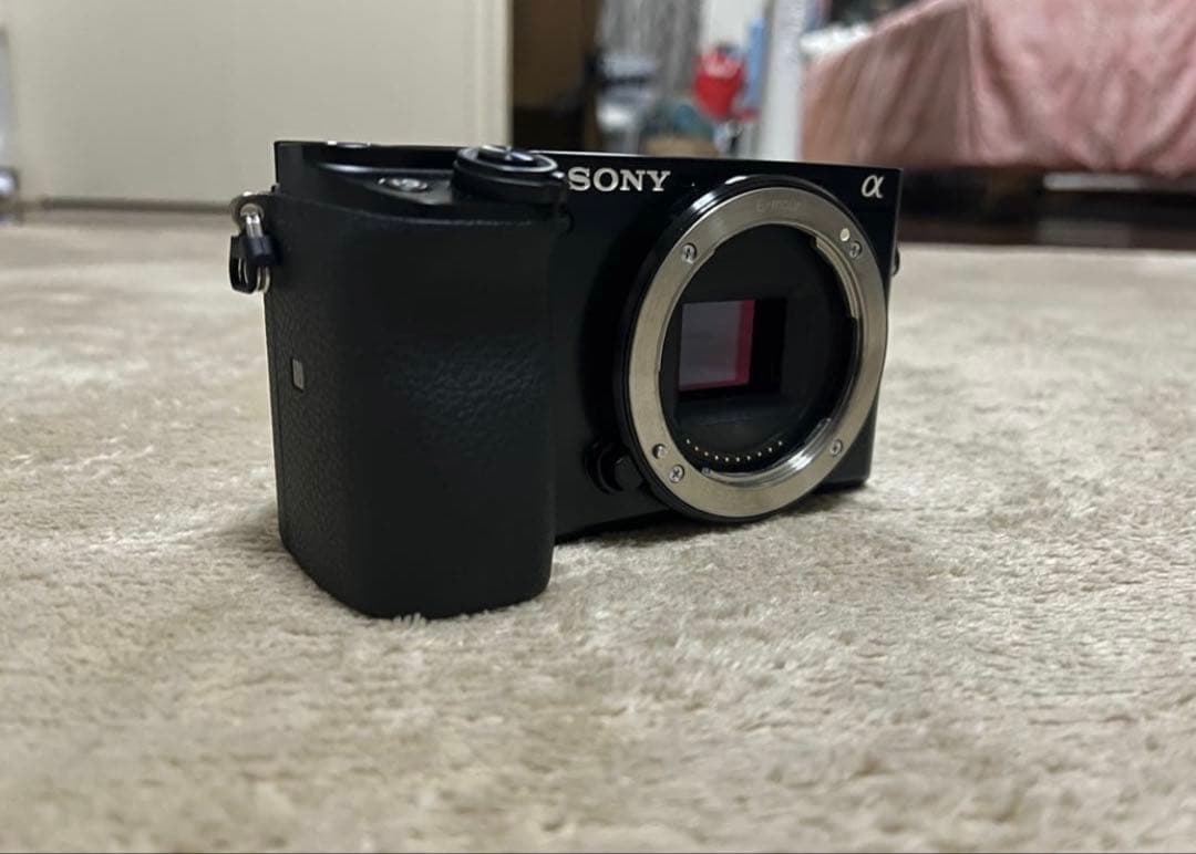 ソニー ミラーレス一眼 α6100 ダブルズームレンズキット ブラック