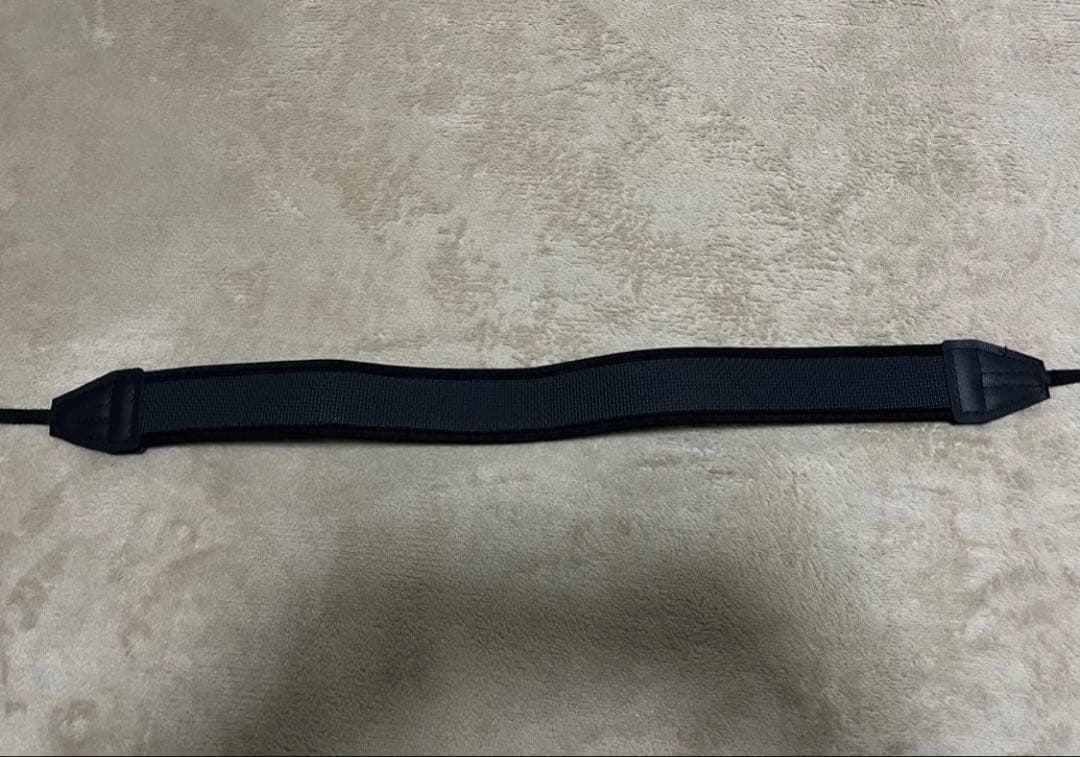 ソニー ミラーレス一眼 α6100 ダブルズームレンズキット ブラック