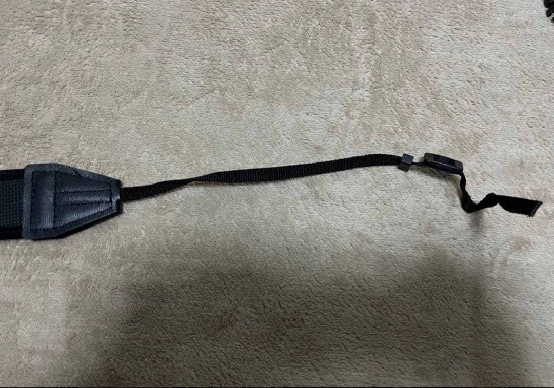 ソニー ミラーレス一眼 α6100 ダブルズームレンズキット ブラック