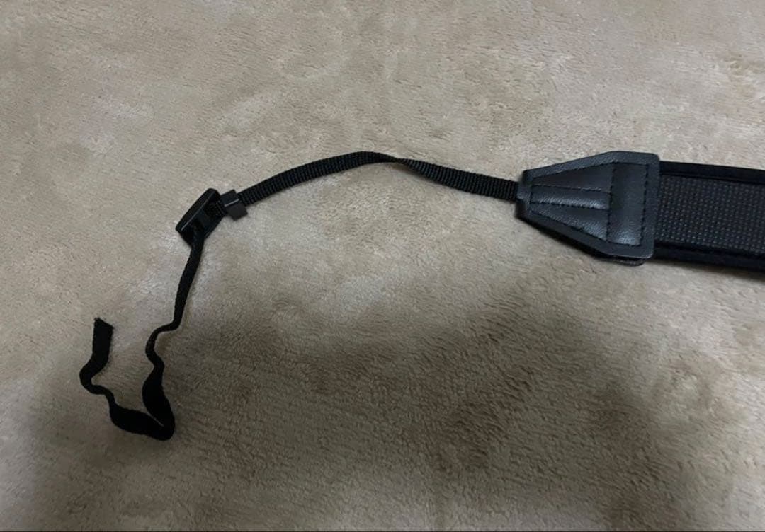 ソニー ミラーレス一眼 α6100 ダブルズームレンズキット ブラック