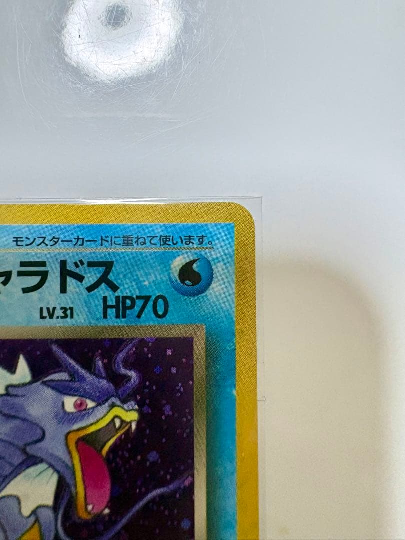 わるいギャラドス 25th プロモ 旧裏セット