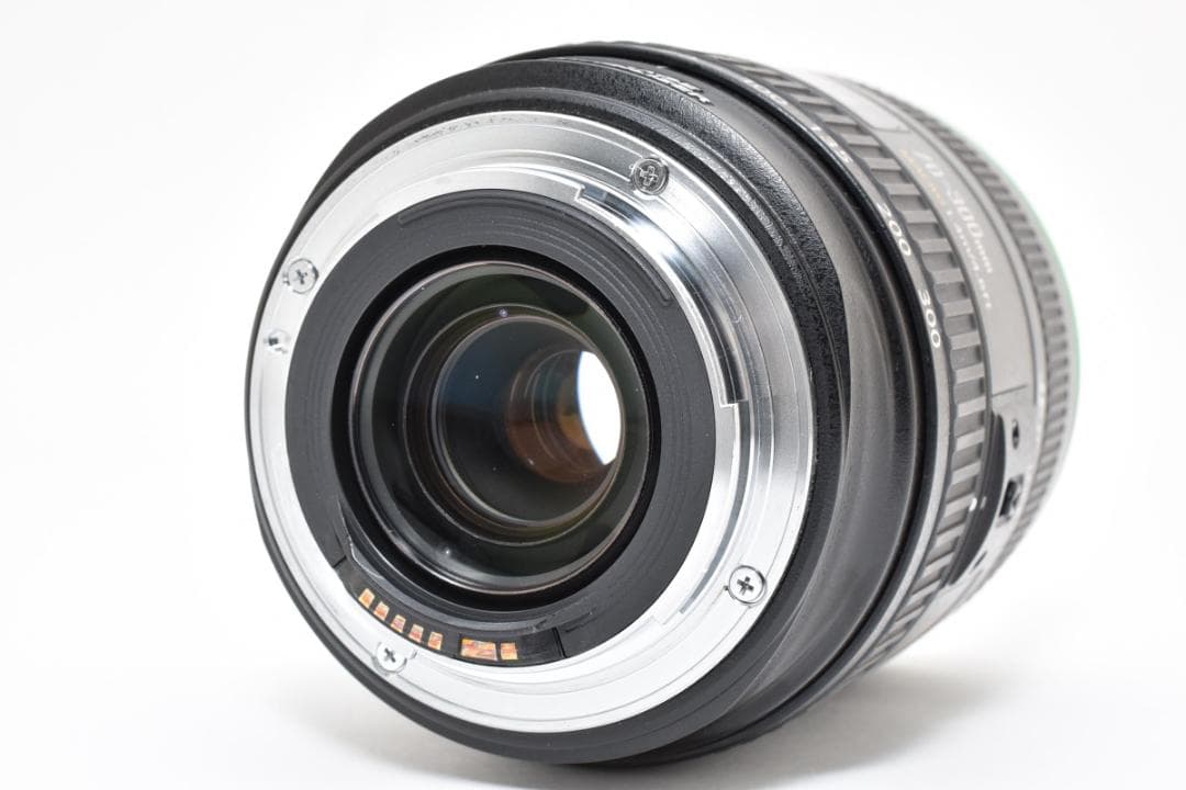 ★美品★キヤノン EF 70-300mm f4.5-5.6 DO IS USM