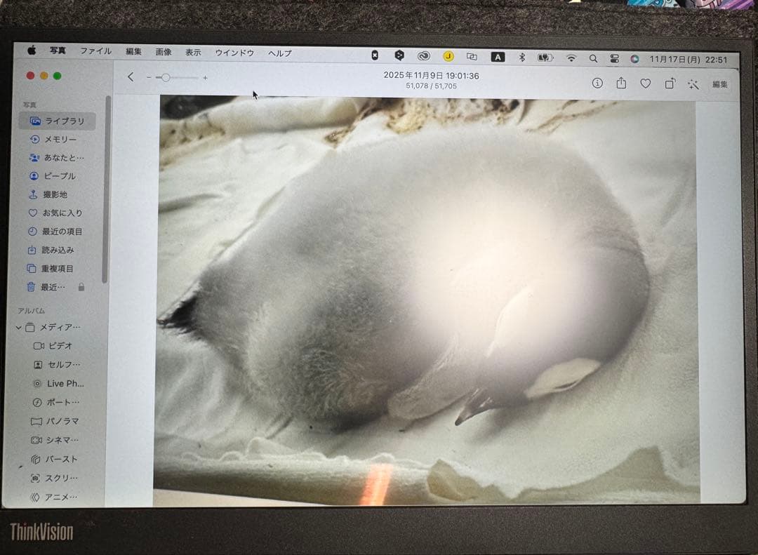 Lenovo ThinkVision M14d 保証あり中古