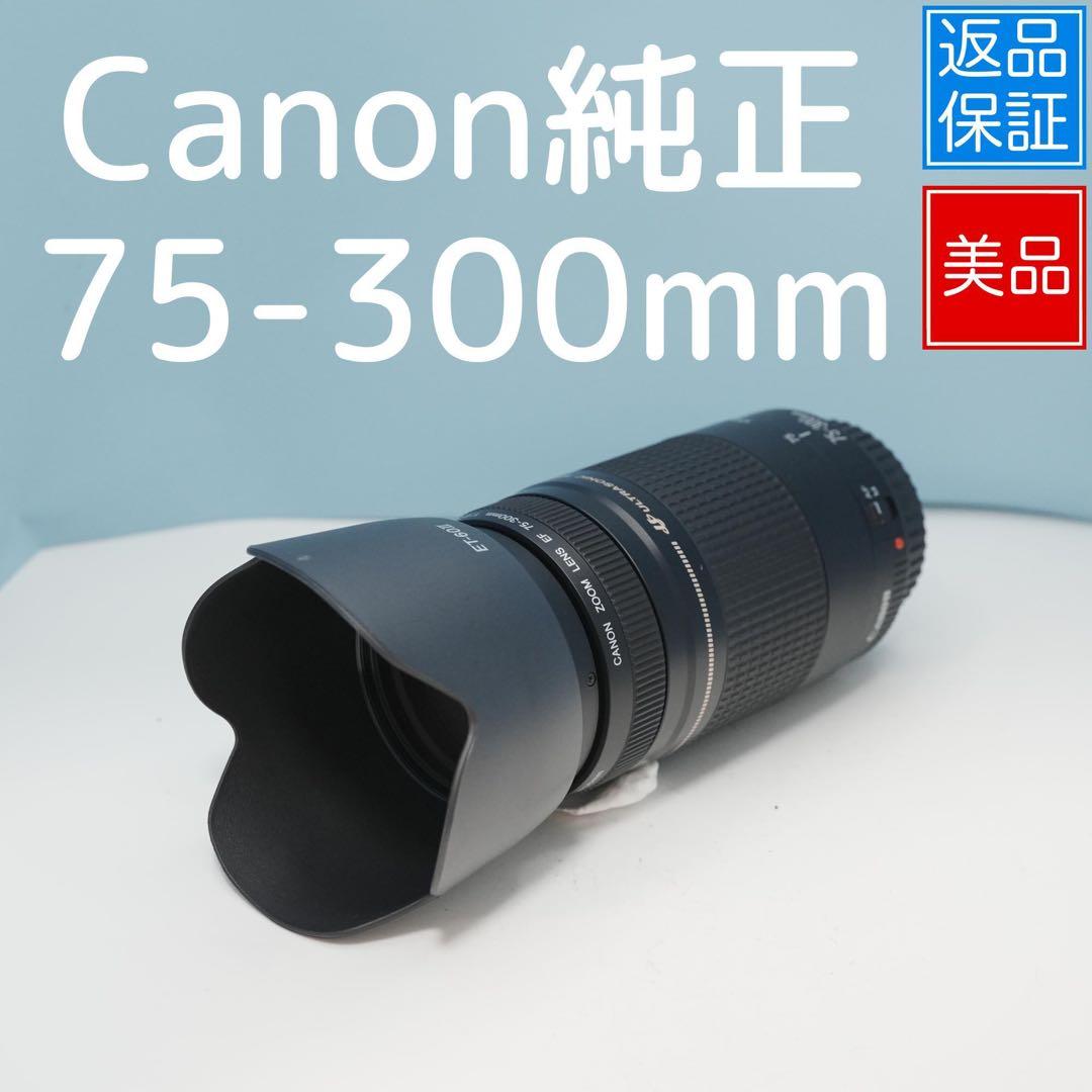 Canon純正 75-300mm 望遠レンズ 美品 a4666