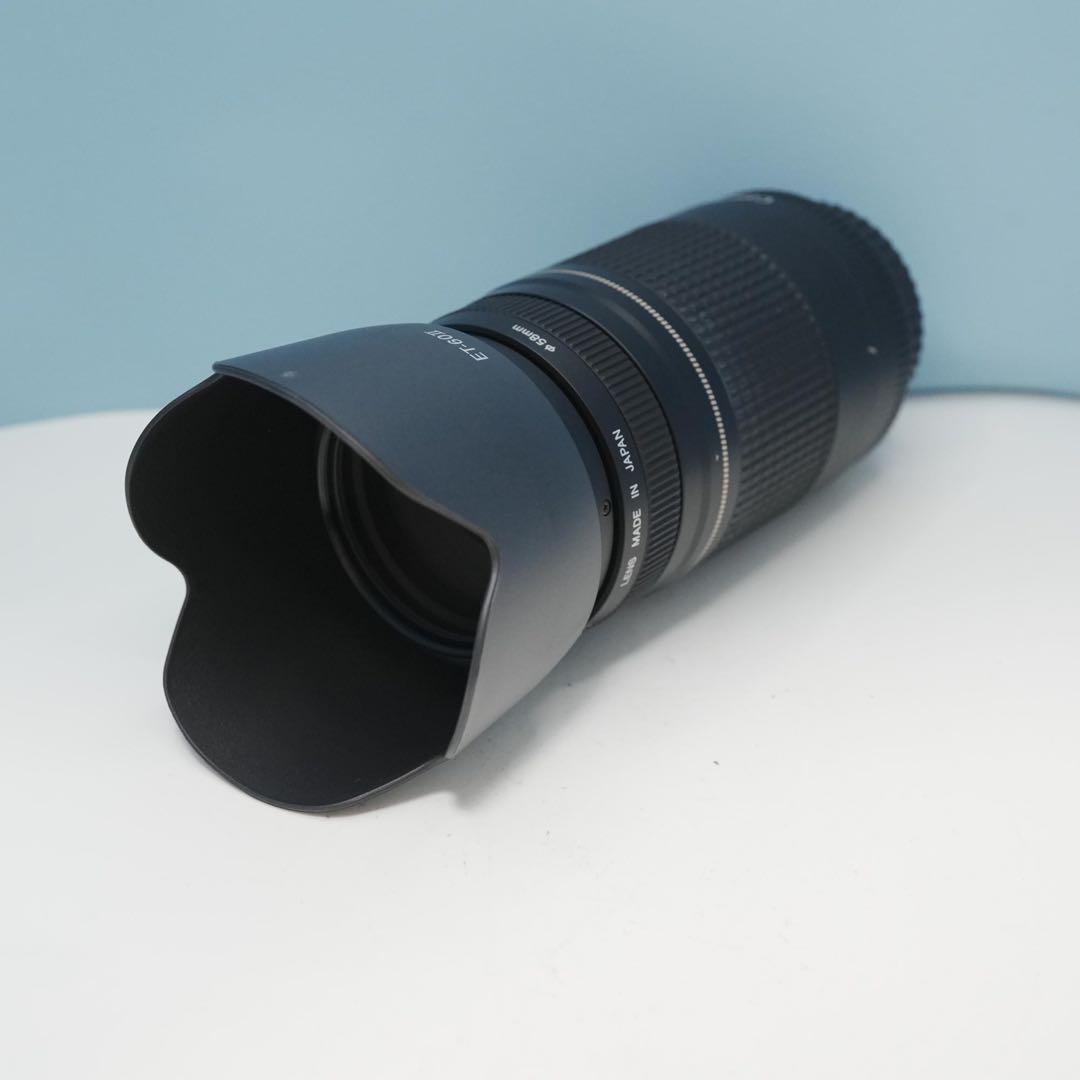 Canon純正 75-300mm 望遠レンズ 美品 a4666