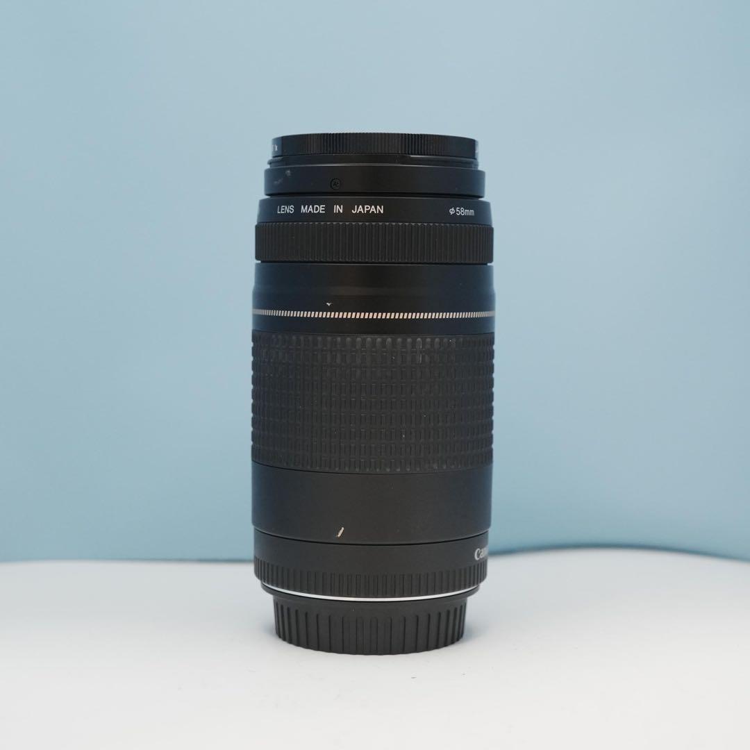 Canon純正 75-300mm 望遠レンズ 美品 a4666