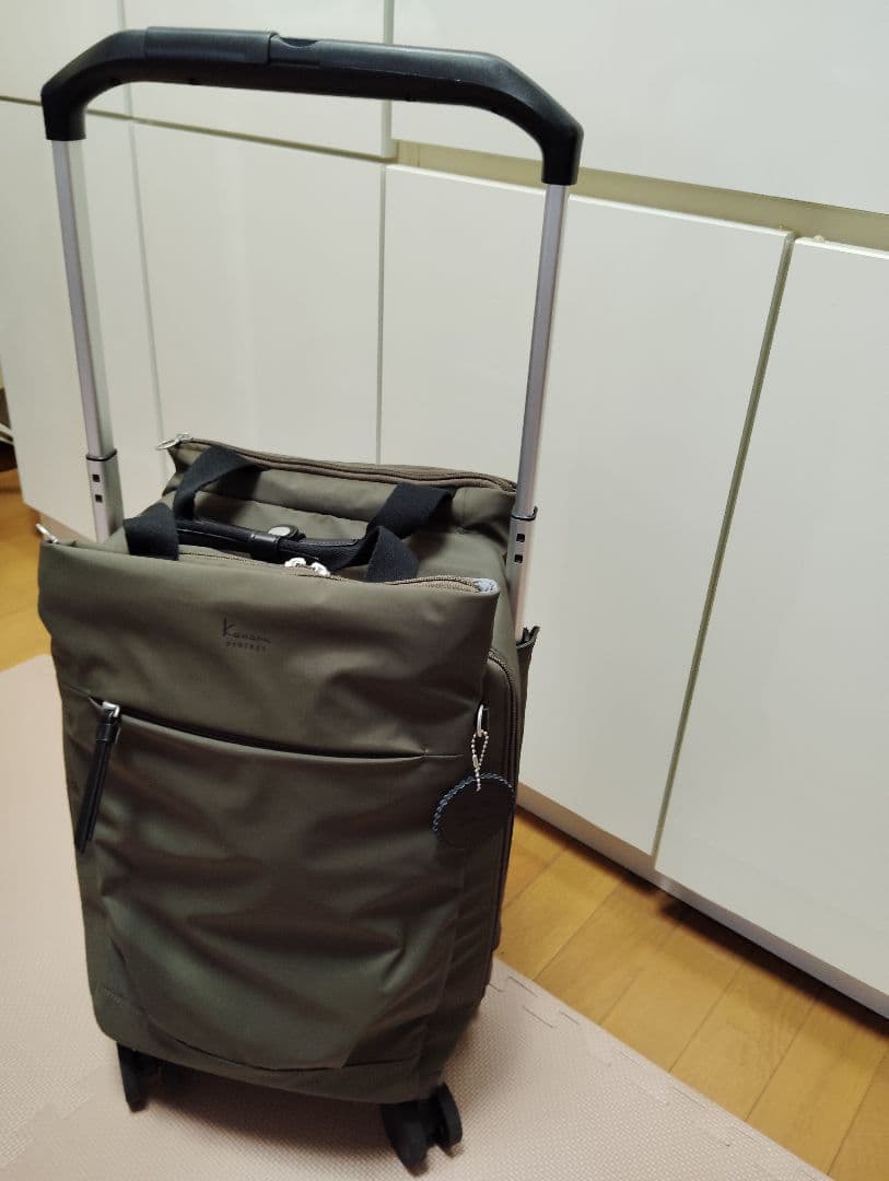 ace キャリーバッグ ソフトキャリー カナナ 23L 2kg 4輪 買い物