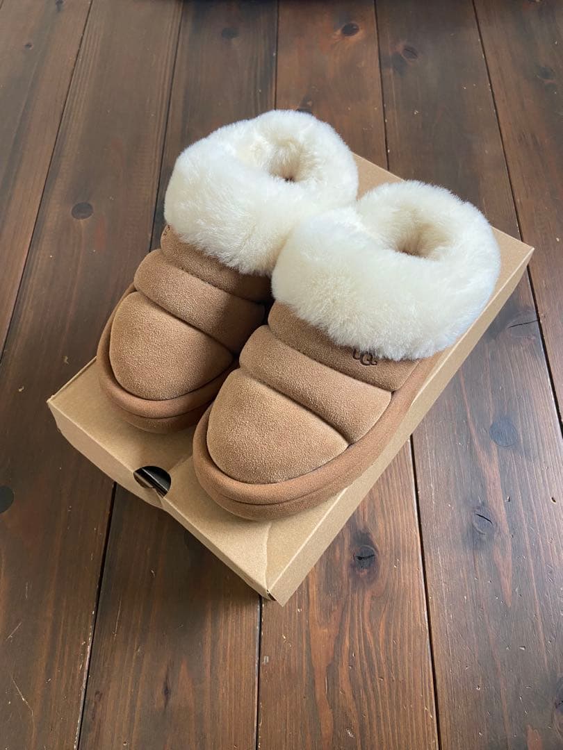 【新品未使用】UGG tazzlitaダズリータ JP21センチ　ステッカー付
