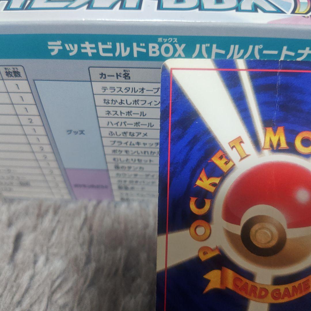 旧裏 カメックス プロモ ポケモンカード