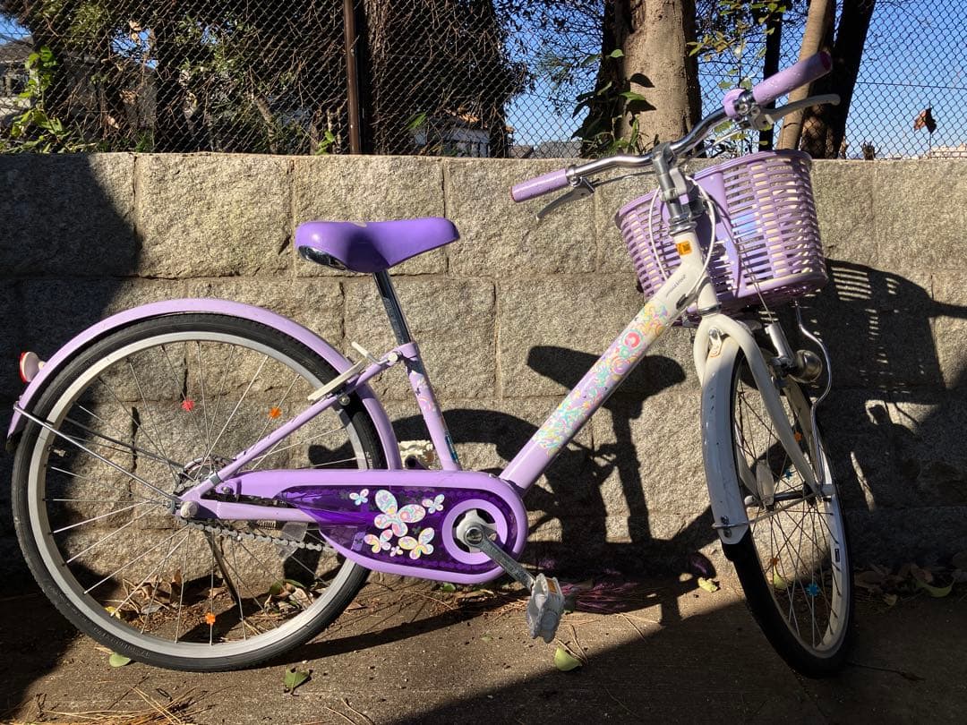 東京都 ブリヂストン 22インチ エコパル ラベンダー