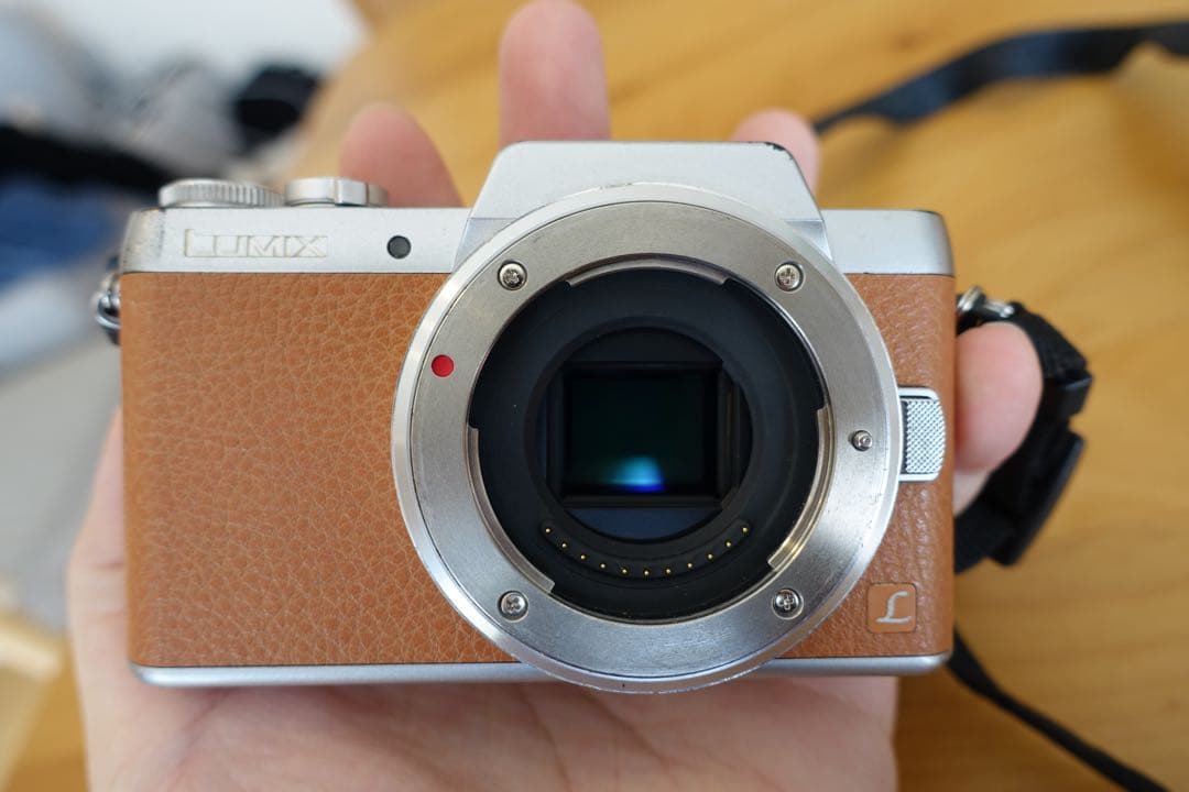 Panasonic LUMIX DMC-GF7 ミラーレス一眼