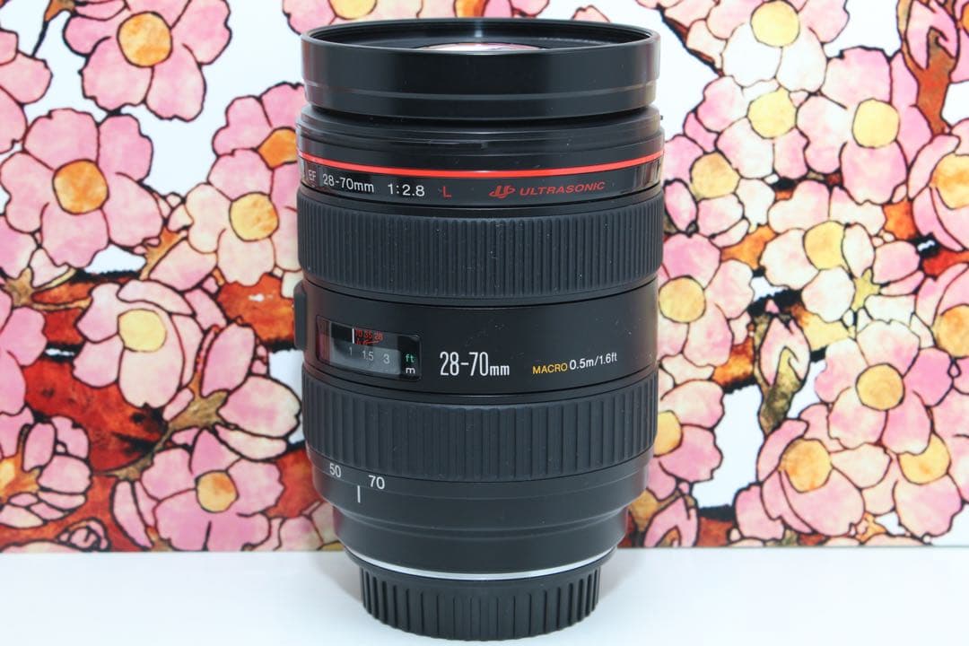 ❤大口径Lレンズ❤キヤノン EF 28-70mm f2.8 L USM❤