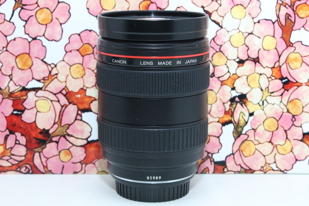 ❤大口径Lレンズ❤キヤノン EF 28-70mm f2.8 L USM❤