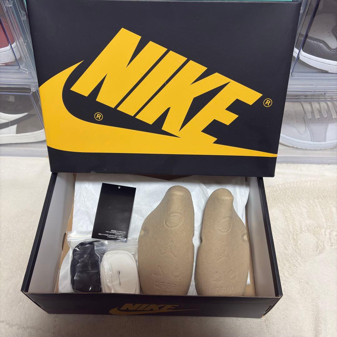 NIKE Air Jordan 1 Retro High OG パラン