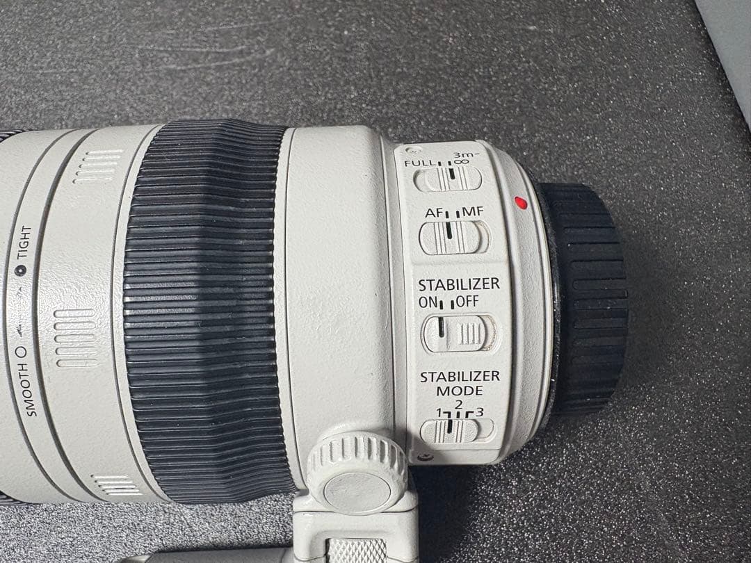 【美品】EF100-400mm F4.5-5.6L IS II USM キヤノン