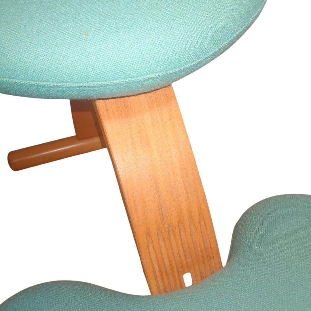 Rybo Balance Easy バランスイージー チェア　リボ社