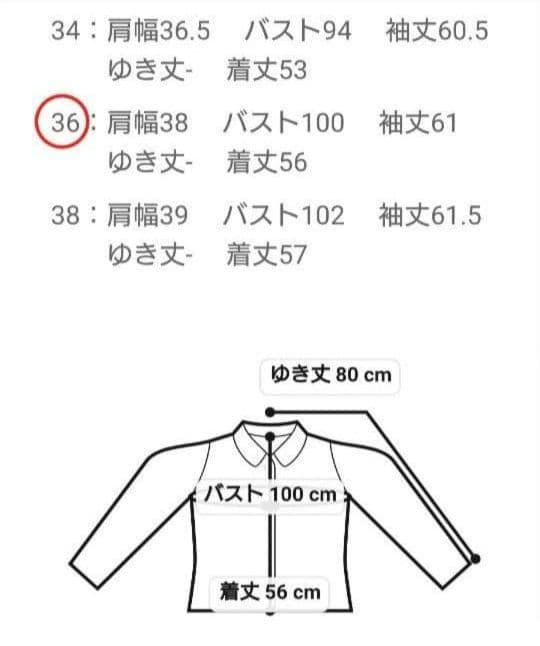 【新品】ANAYI アルパカシャギーダウンコート アイボリー36