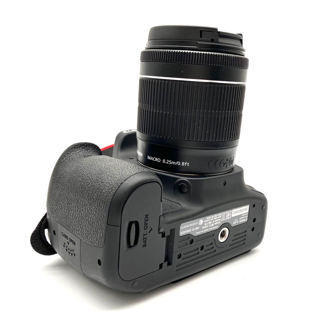 Canon EOS 80D 18-55mmSTMレンズセット