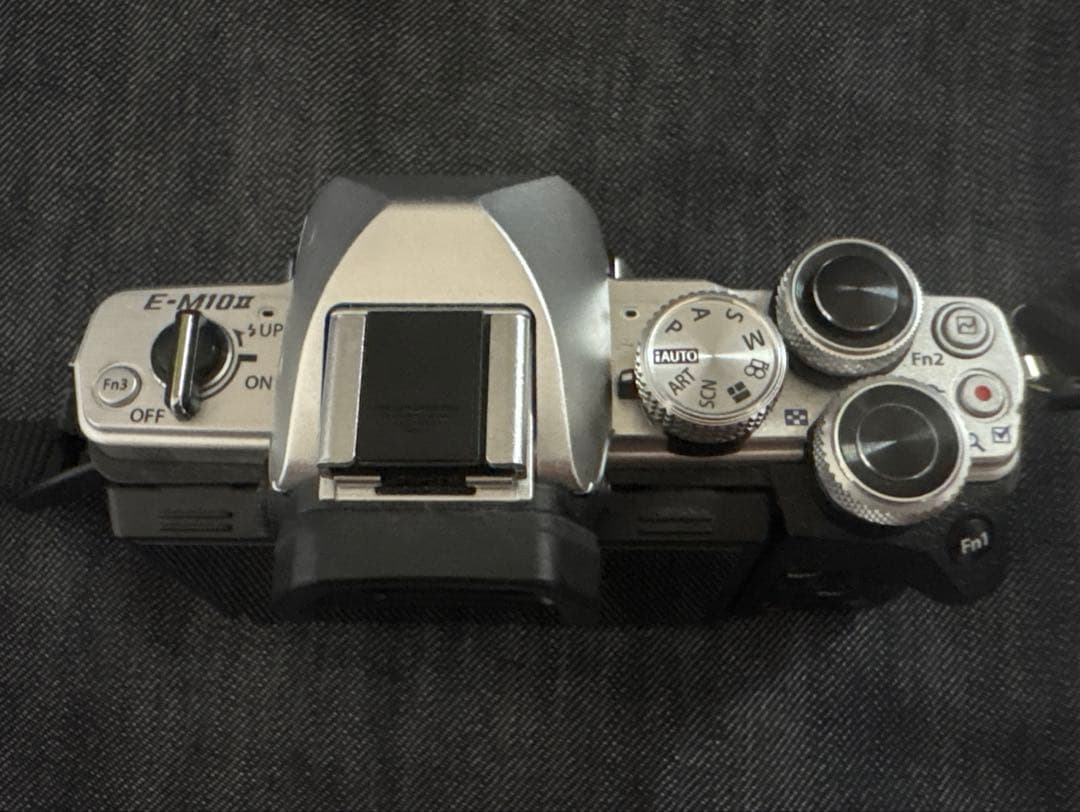 オリンパスOM-D E-M10 Mark II 望遠レンズ75-300mmセット