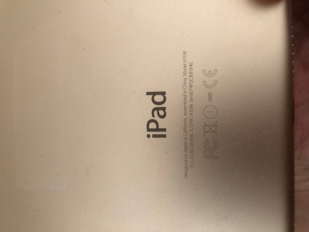iPad本体 iPad mini A1538